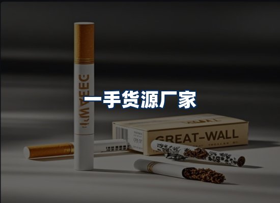 专业团队办公环境